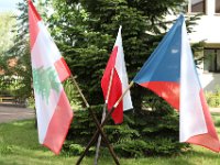 IMG 7881