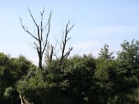 IMG 8507