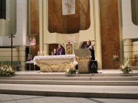 IMG 7686