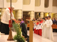 IMG 4981