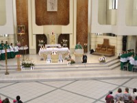 IMG 0055