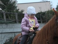 IMG 5159