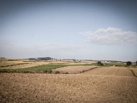 IMG 0725