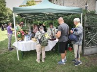 IMG 0857