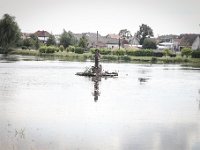IMG 0920