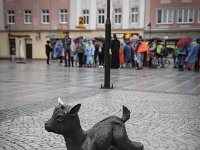 IMG 0595